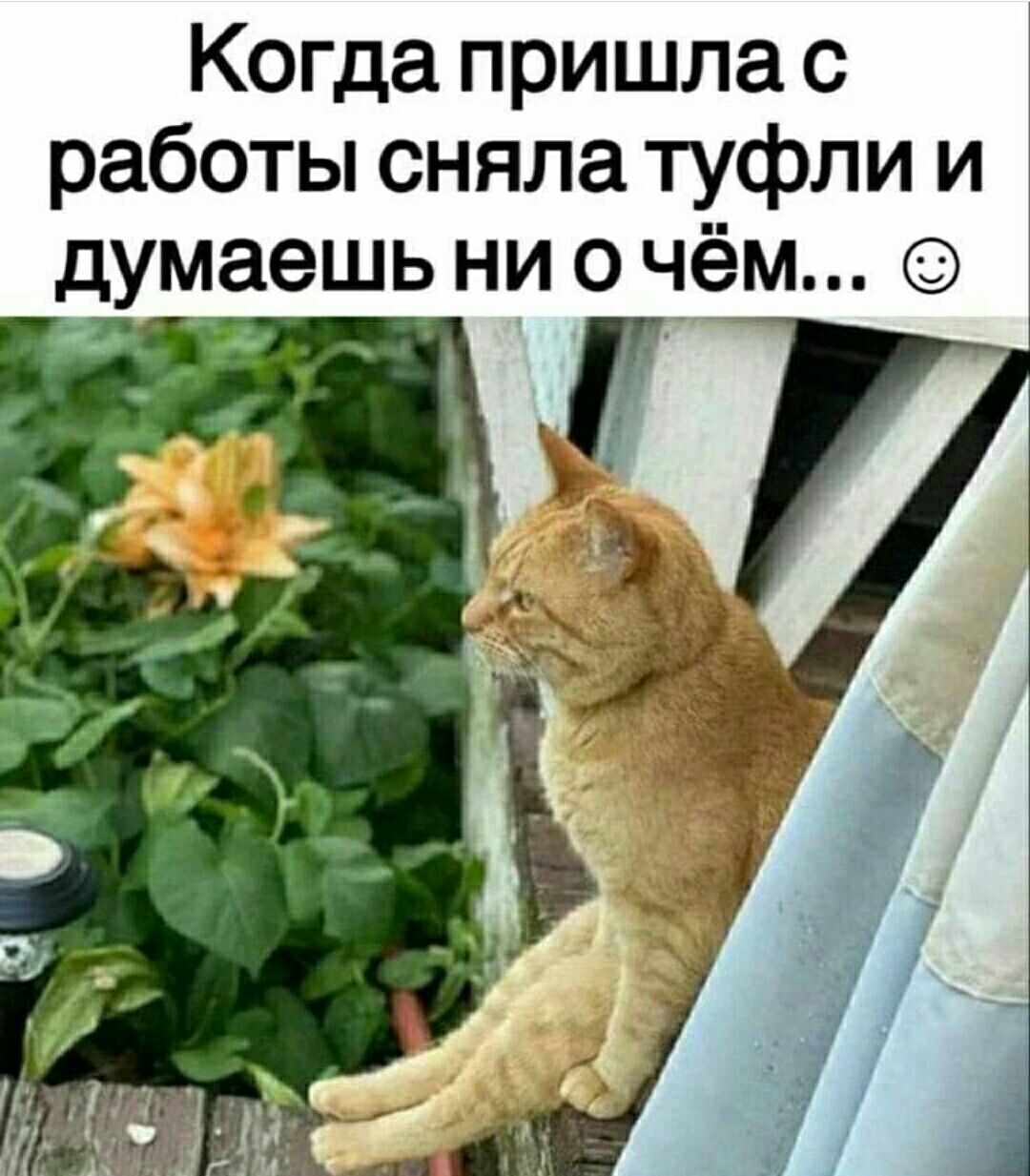 Когда пришла с работы сняла туфли и думаешь ни о чём