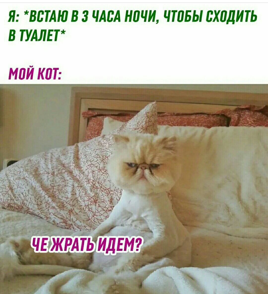 Я МТАЮ В ШМ ПЧ ЧТПБЫ сходить В ТУАЛЕТ МПЙ КПТ чия