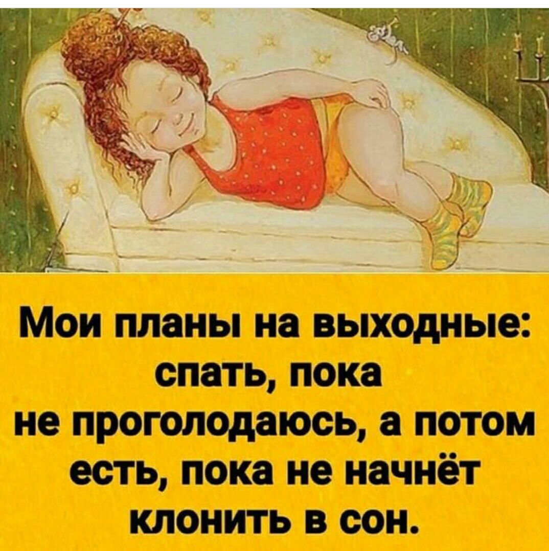 Мои планы на выходные спать пока не проголодаюсь патом есть пока не начнёт клонить в сон