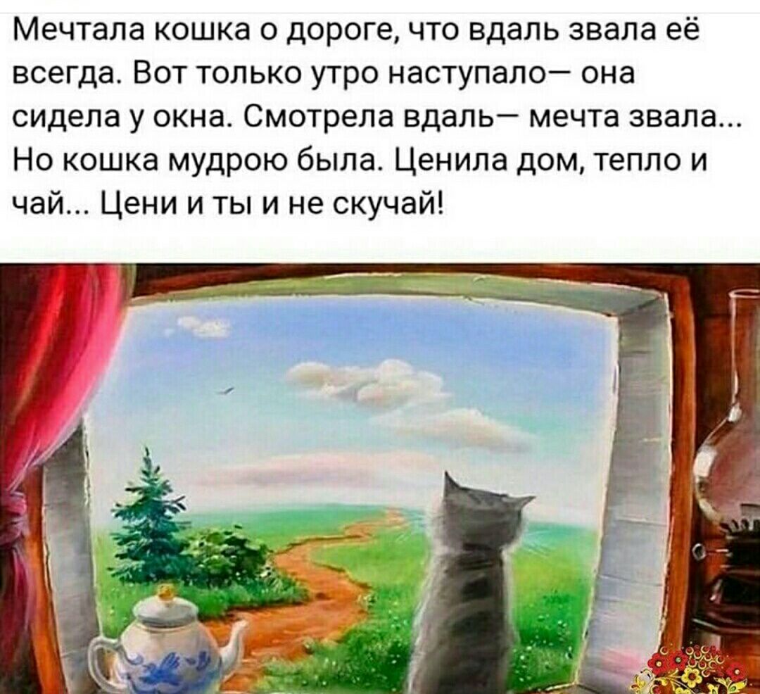 Мечтапа кошка с дороге что вдаль звала её всегда Вот только утро наступало она сидела у окна Смотрела вдапь мечта звала Но кошка мудрою была Ценила дом тепло и чай Цени и ты и не скучай