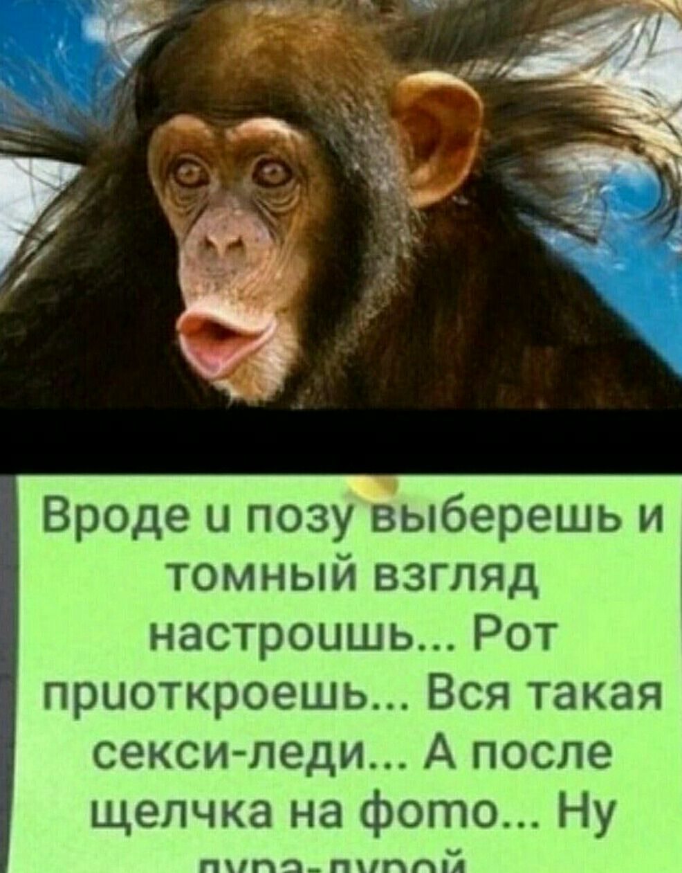 Вроде и позу выберешь и томный взгляд настроишь Рот приоткроешь Вся такая сексищеди А после ка на фо 0 Ну