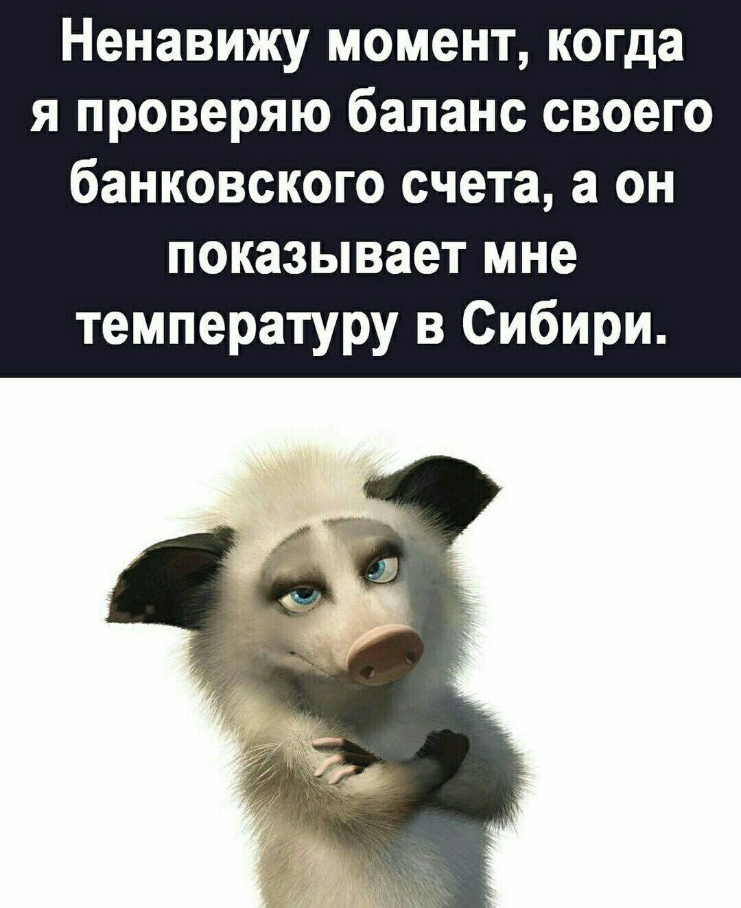 Ненавижу момент когда я проверяю баланс своего банковского счета а он показывает мне температуру в Сибири
