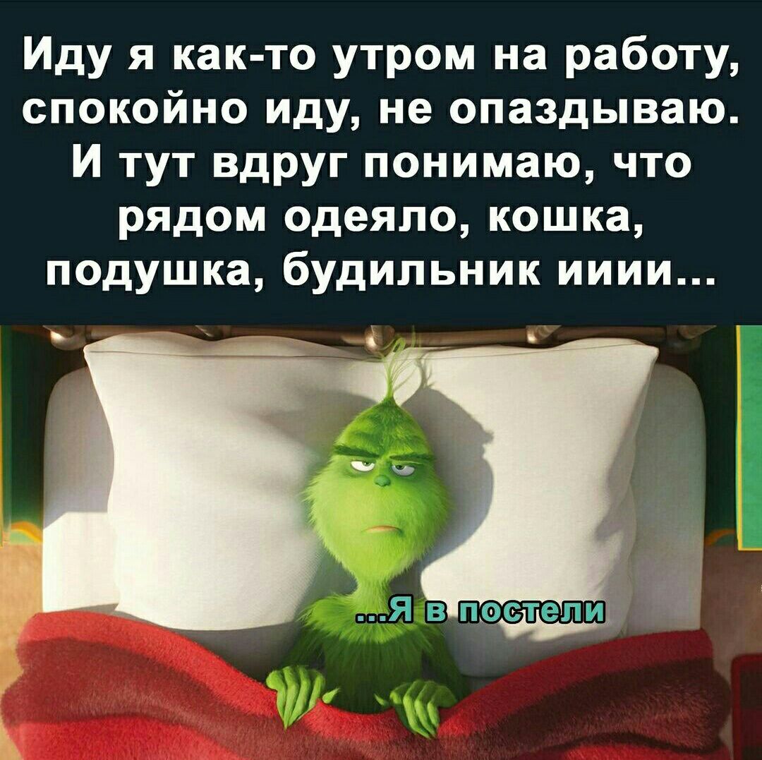 Иду я как то утром на работу спокойно иду не опаздываю И тут вдруг понимаю что рядом одеяло кошка подушка будильник ииии