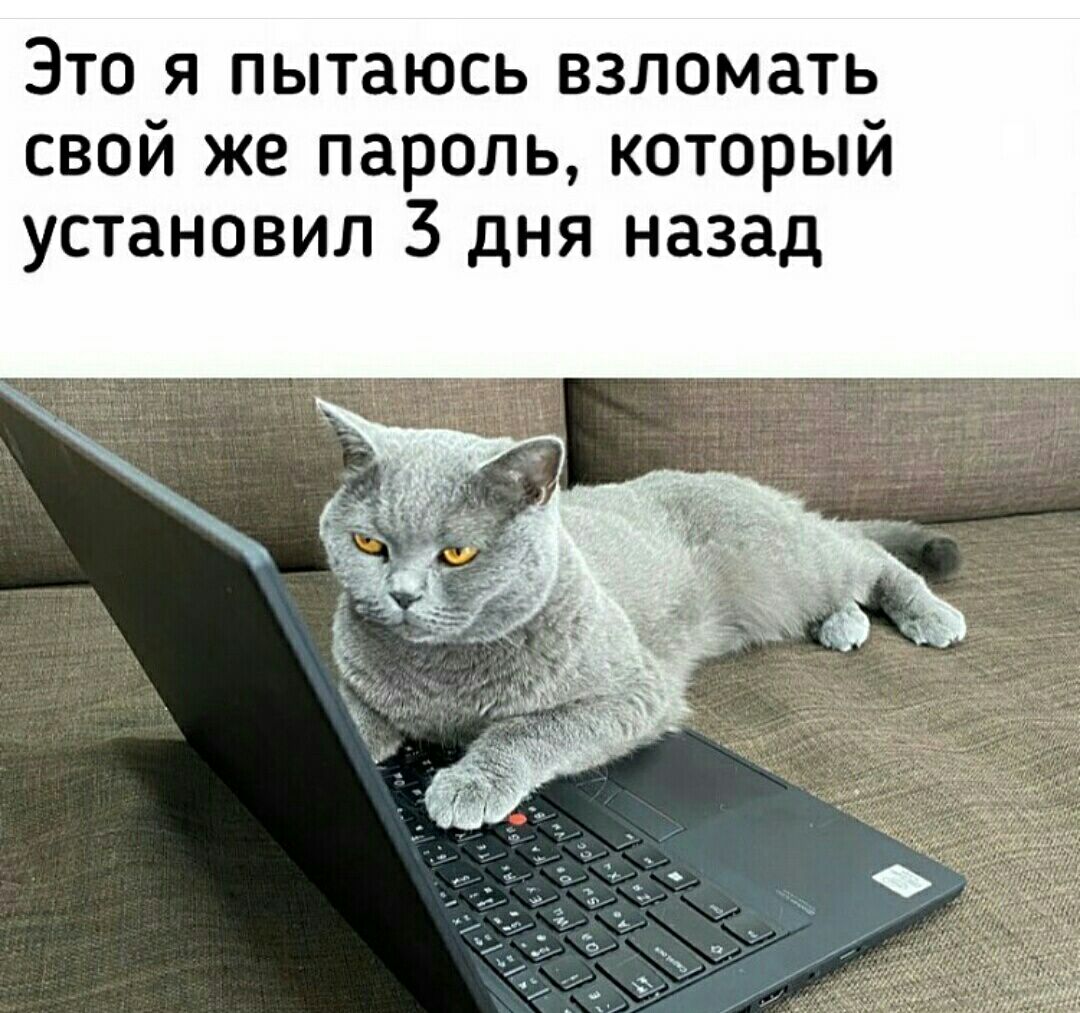 Это я пытаюсь взломать свой же пароль который установил 3 дня назад
