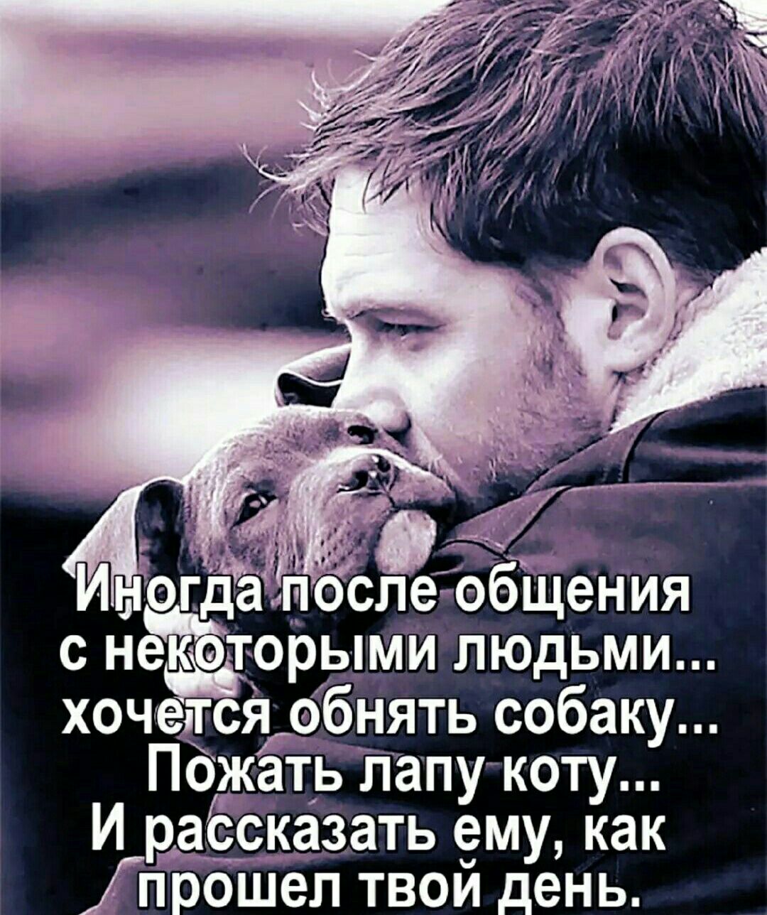 орыми людьми хоч Есёшбнять собаку Погкать Папу коту И даёсказать ему как прошел твои день