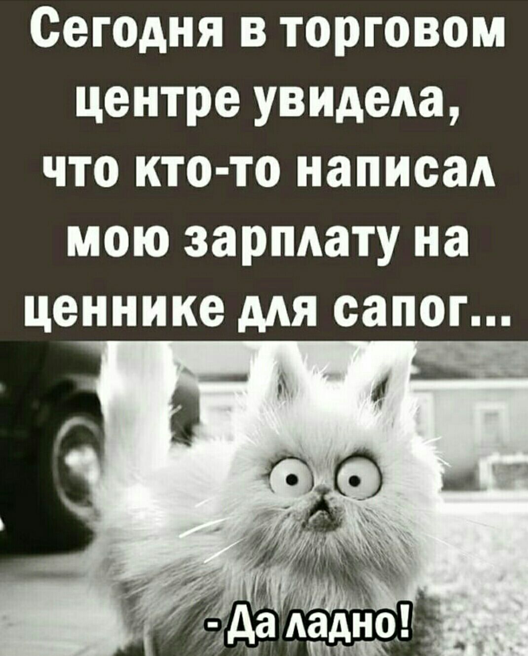 Сегодня в торговом центре увидела что кто то написал мою зарплату на ценнике мя сапог