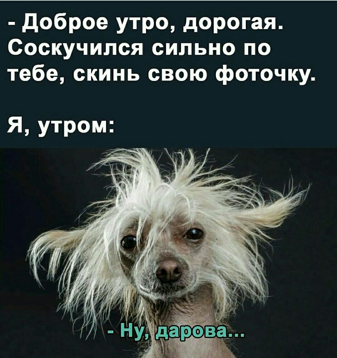 доброе утро дорогая Соскучился сильно по тебе скинь свою фоточку Ён Ну да