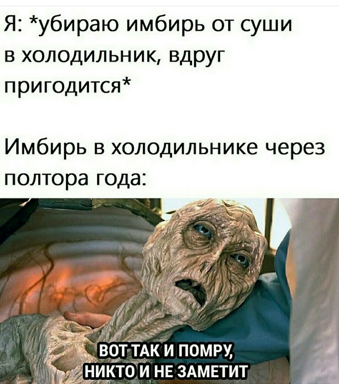 Я убираю имбирь от суши в холодильник вдруг пригодится Имбирь в холодильнике через полтора года АК И ПОМРУ НЦКТО И НЕ ЗАМЕТИТ