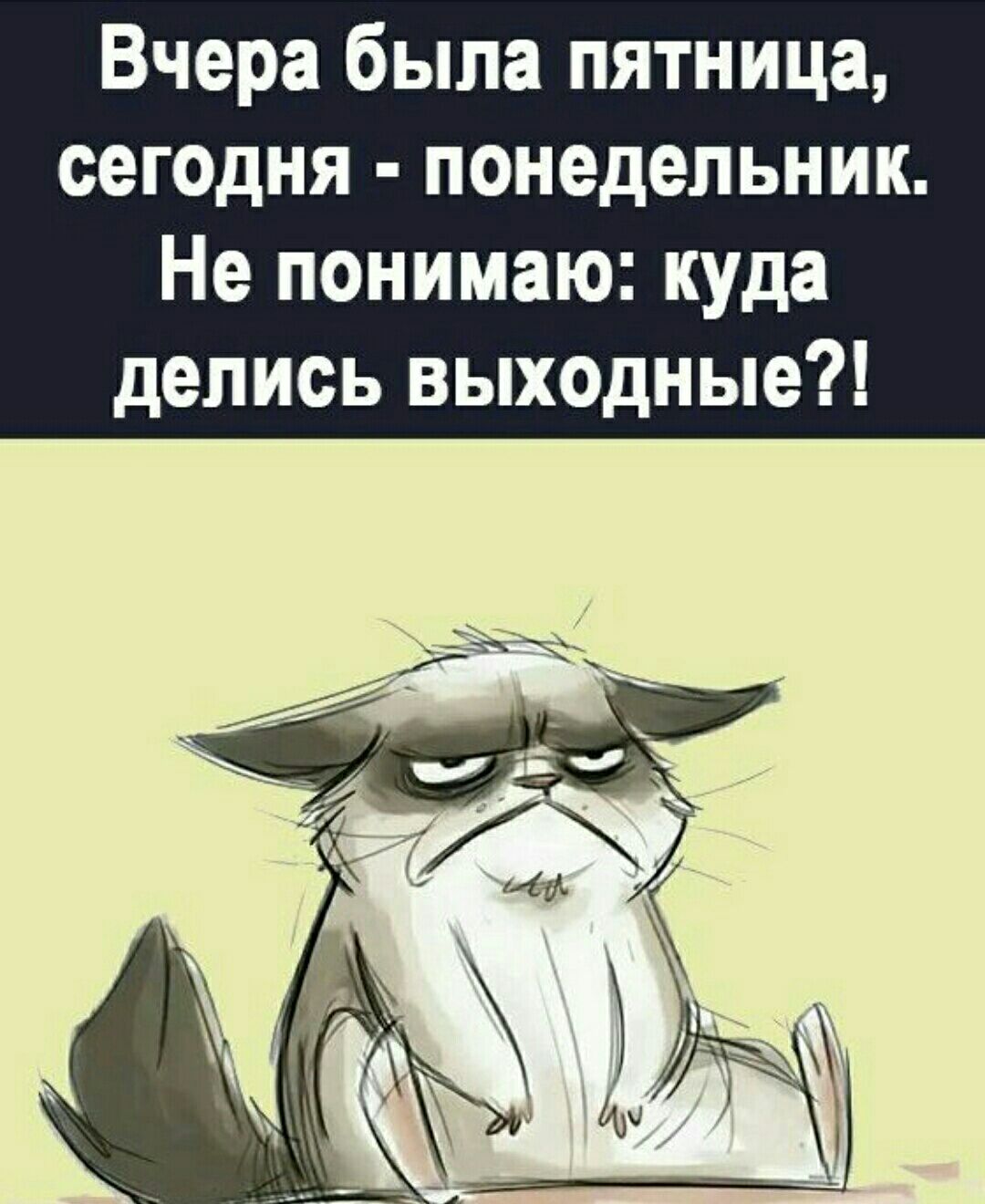 Вчера была пятница сегодня понедельник Не понимаю куда делись выходные