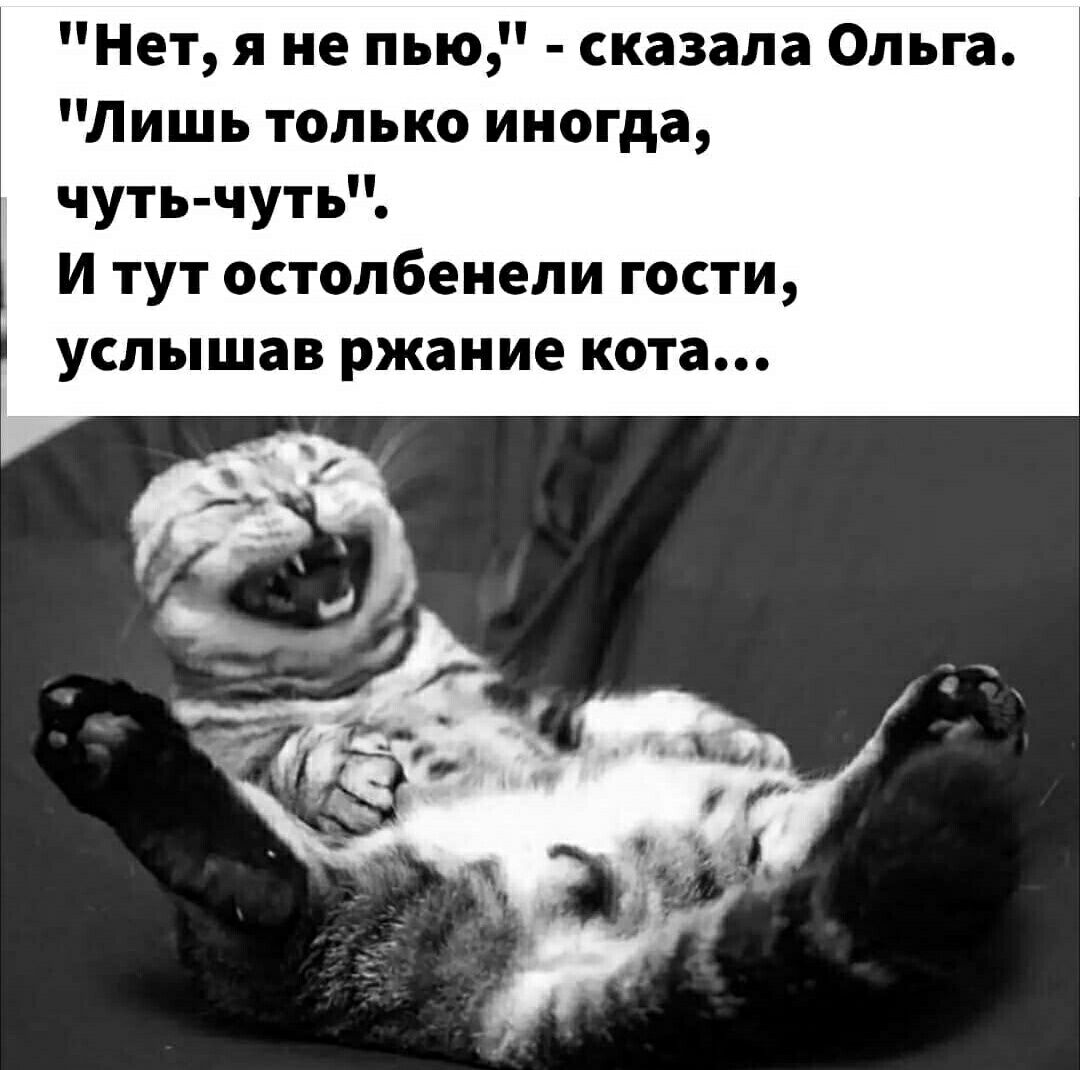 Нет я не пью сказала Ольга Лишь только иногда чуть чуть и тут остопбеиели гости услышав ржаиие кота