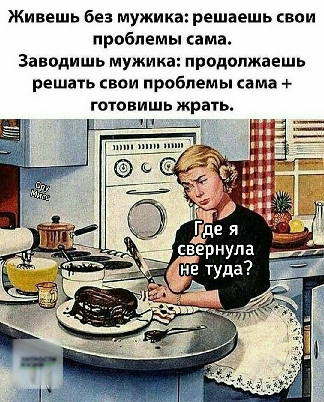 Живешь без мужика решаешь свои проблемы сама Заводишь мужика продолжаешь решать свои проблемы сама готовишь жрать вче