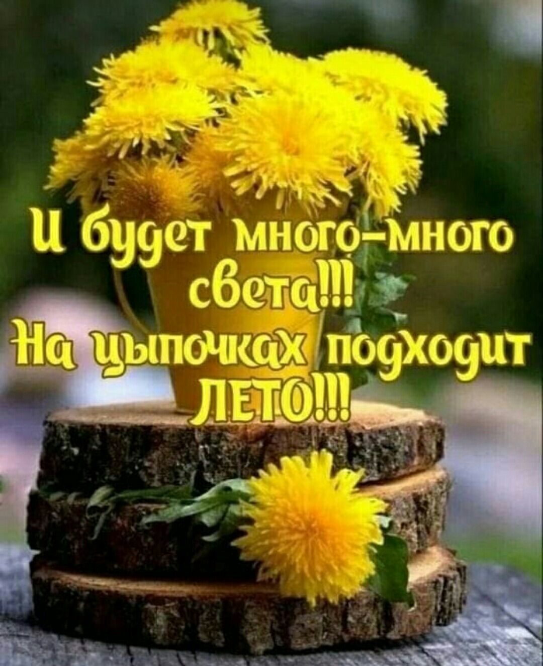 д Ч Ъ г д ШЗ 639 мног