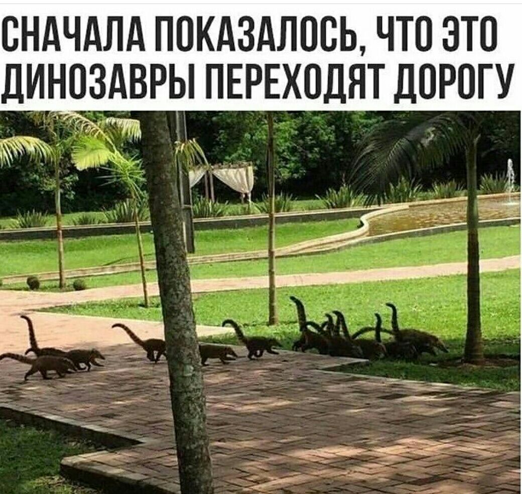 СНАЧАЛА ПОКАЗАЛООЬ ЧТО ЭТО дИНОЗАВРЫ ПЕРЕХОДНТ ДОРОГУ