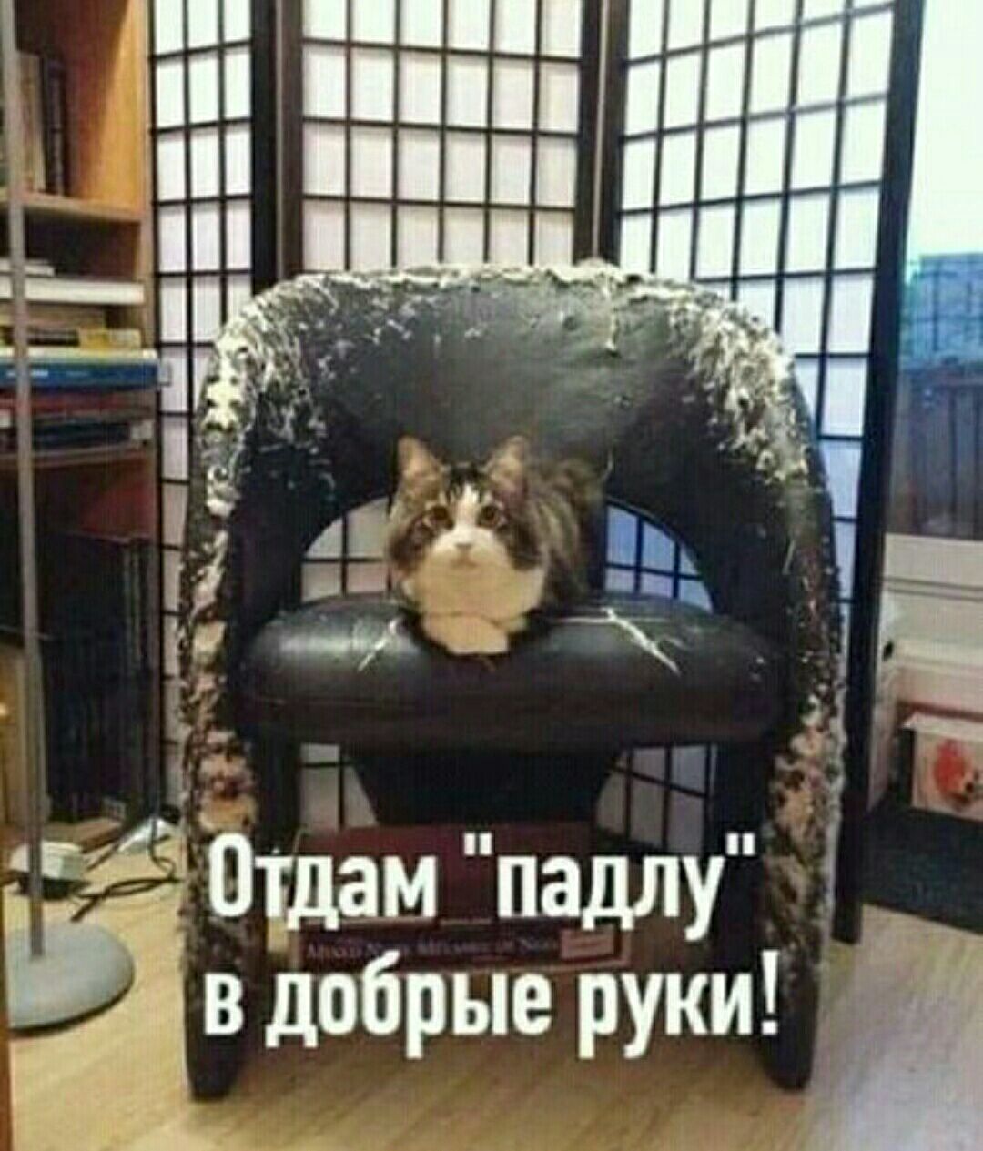 58 добрые руки Я