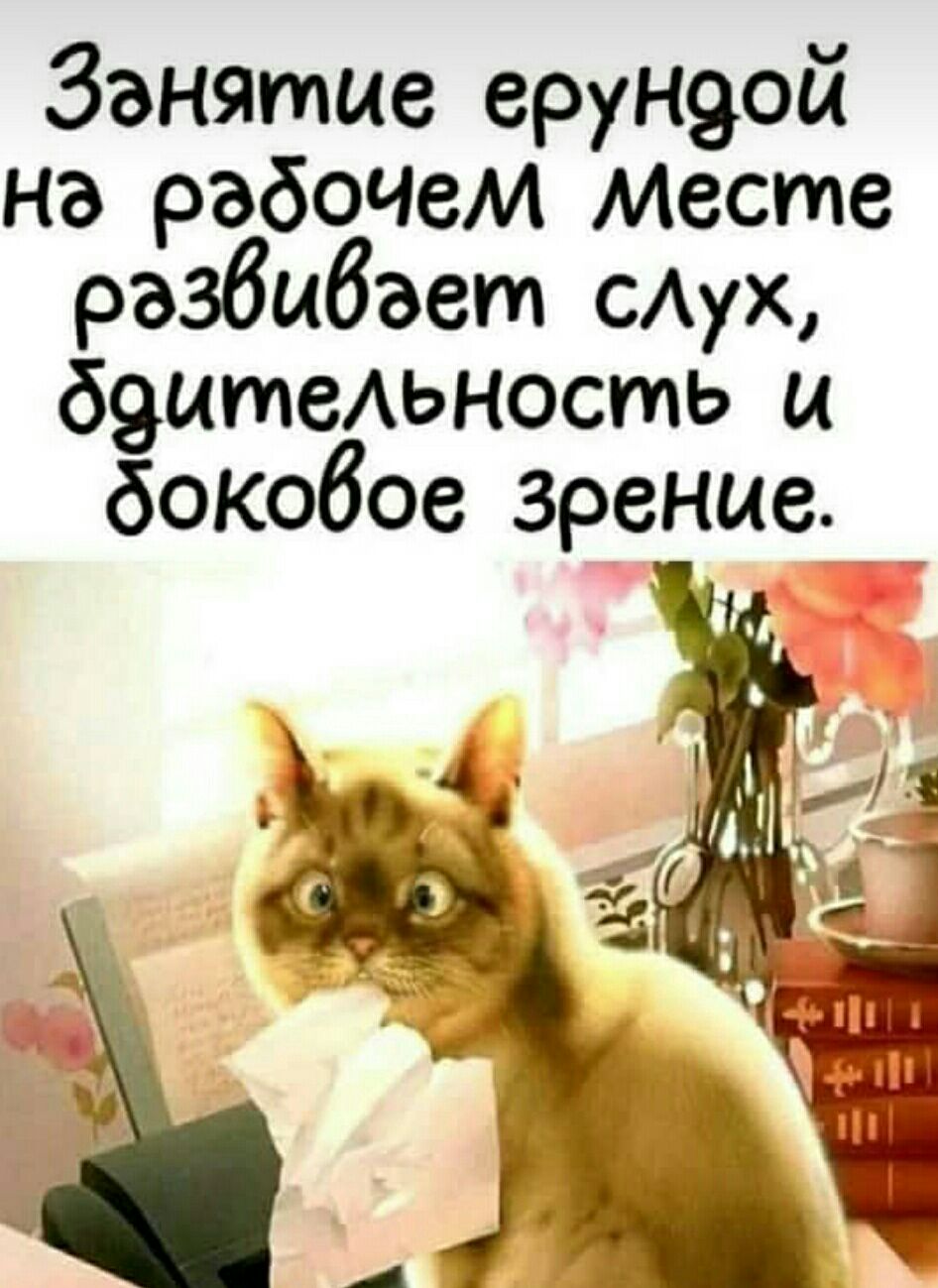 Занятие ерундой На радочем Месте рэзвивает слух бдительность и доковое Зрение