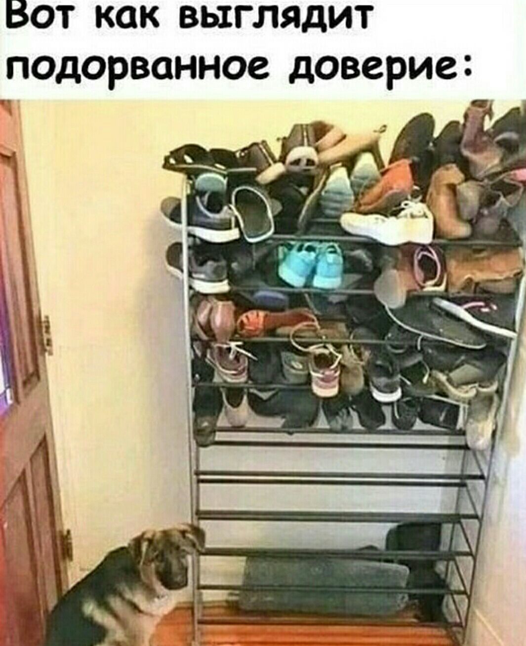Бот как выглядит подорванное доверие