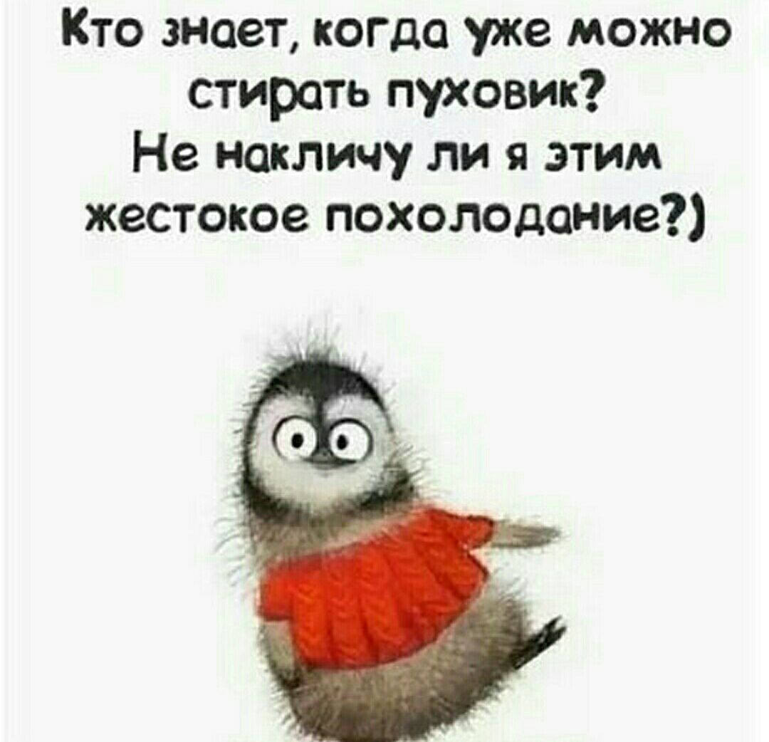 Кто знает когда уже можно стирать пуховик Не накличу ли я этим жестокое похолодание