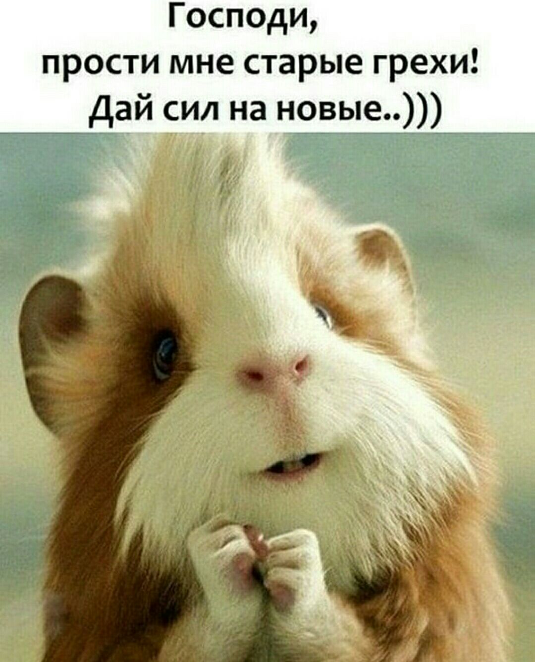 Господи прости мне старые грехи Дай сил на новые Г