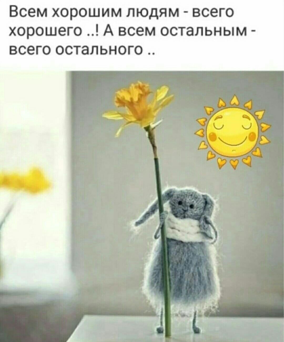 Всем хорошим людям всего хорошего А всем остальным всего остального