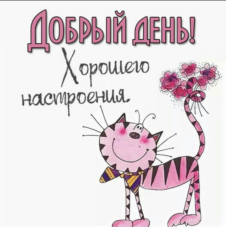 ЙОБРЫЙ ДЕНЫ Хоронео и НДСИРОШ М
