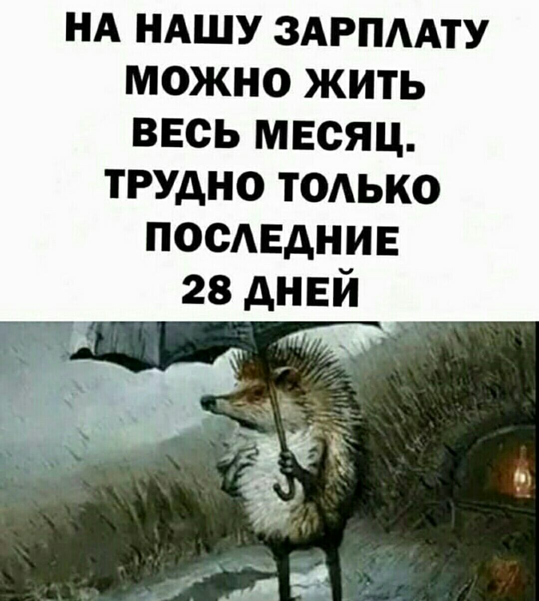 нд НАШУ здгпмту можно жить весь месяц трудно тодько ПОСЕДНИЕ 28 дней