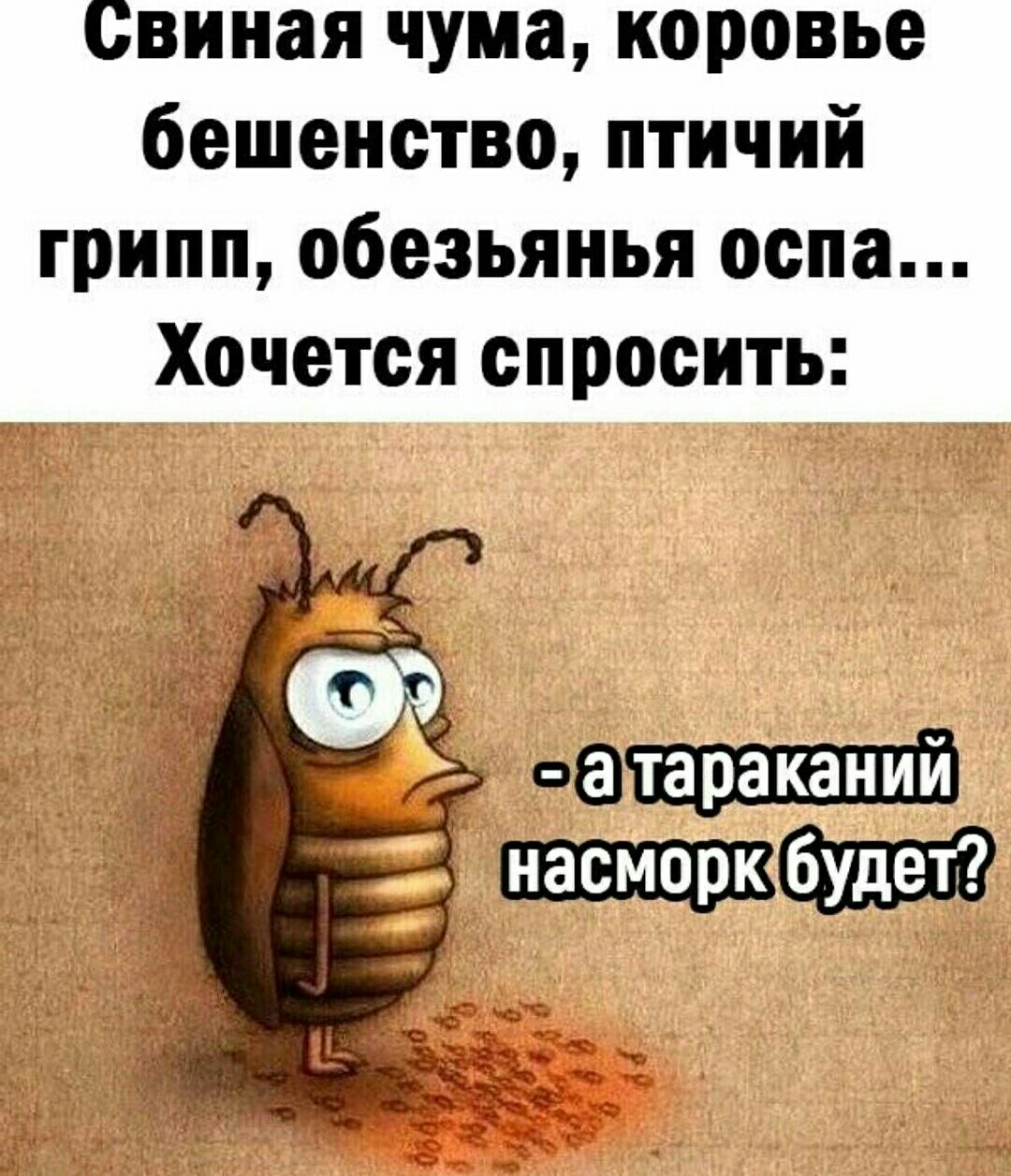 Свиная чума коровье бешенство птичий грипп обезьяньи оспа Хочется спросить