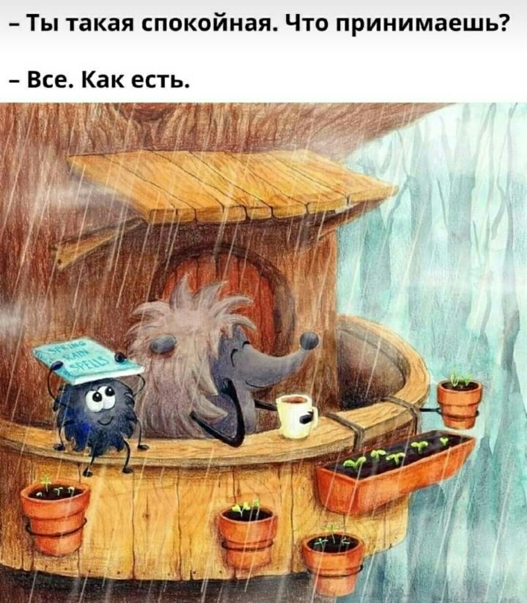 Ты такая спокойная Что принимаешь Все Как есть МЁЁЁИЪЁЁА