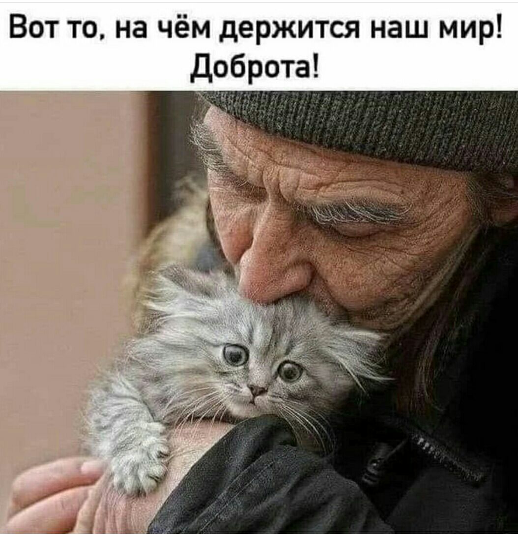 Вот то на чём держится наш мир доброта