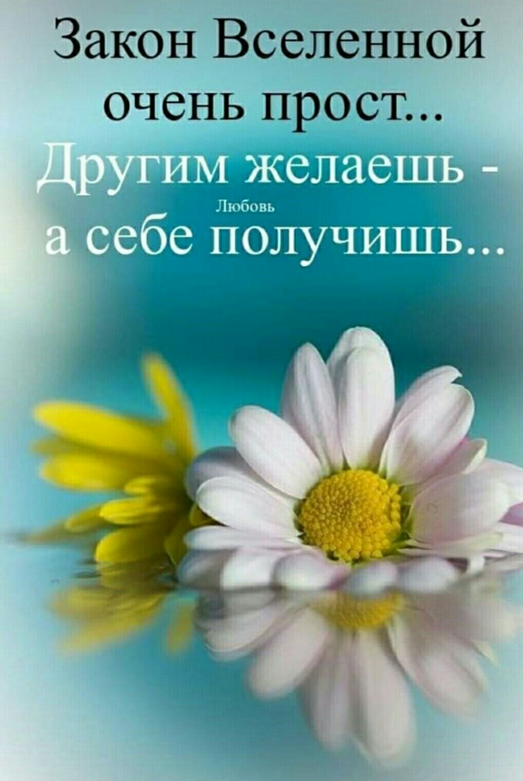 Закон Вселенной очень прост