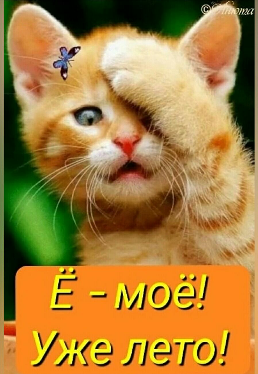 е 162М Уже лето