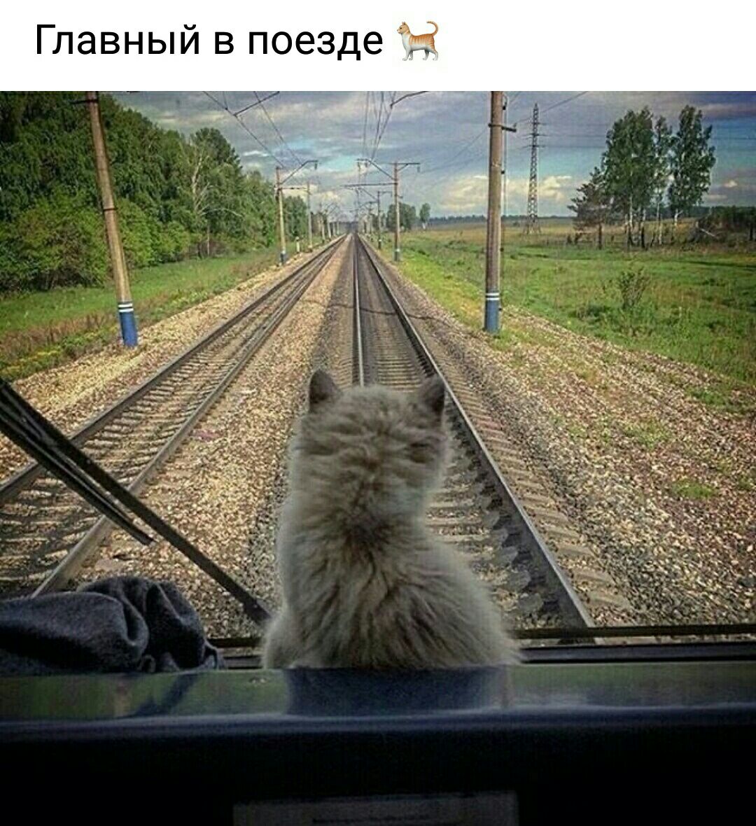 Главный в поезде