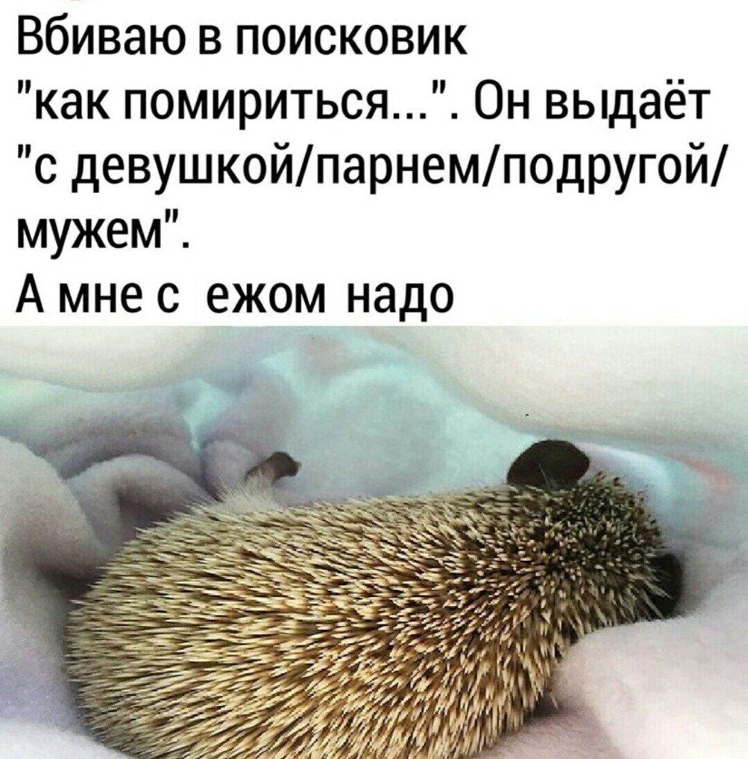 Вбиваю в поисковик как помириться Он выдаёт с девушкойпарнемподругой мужем А мне с ежом надо