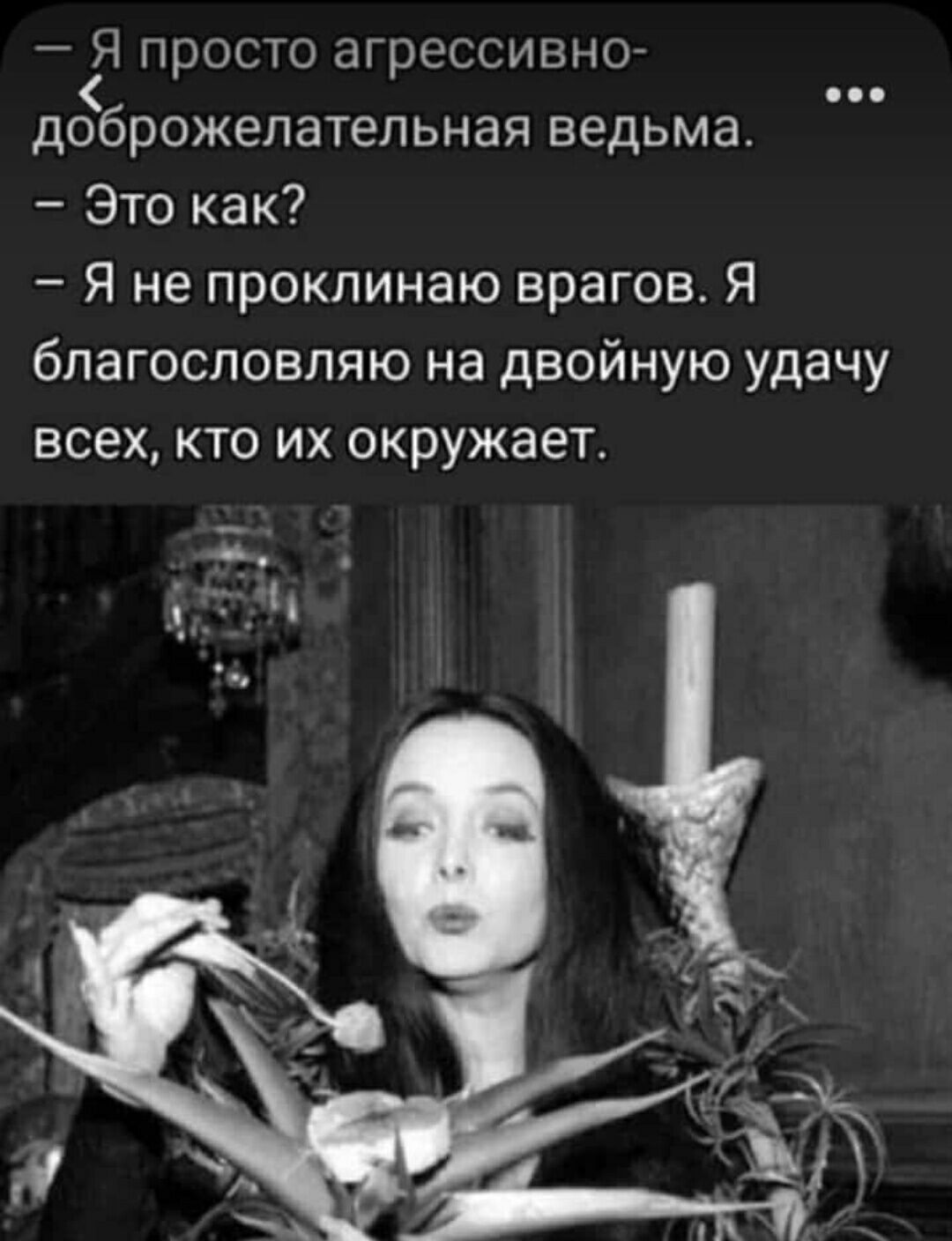 Я просто агрессивно дёброжепатепьная ведьма Это как Я не проклинаю врагов Я бпагосповляю на двойную удачу всех КТО ИХ окружает