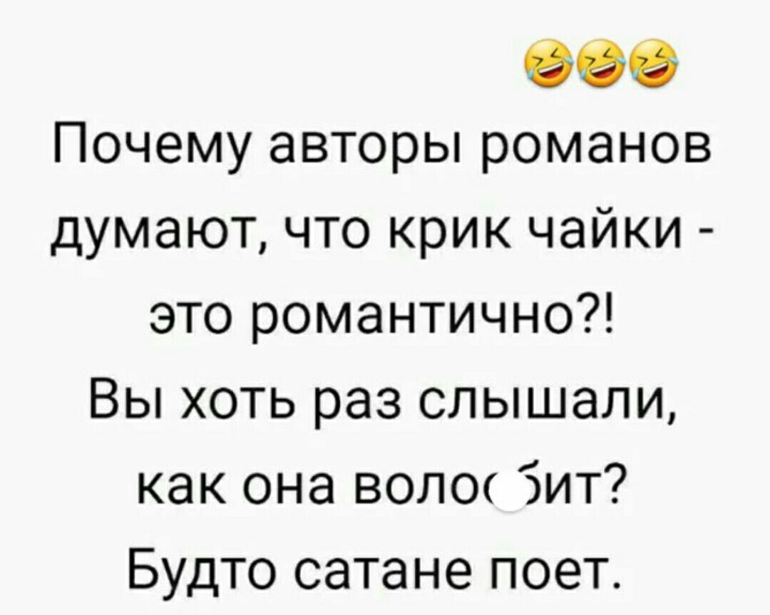 900 Почему авторы романов думают что крик чайки это романтично Вы хоть раз слышали как она воло ит Будто сатане поет