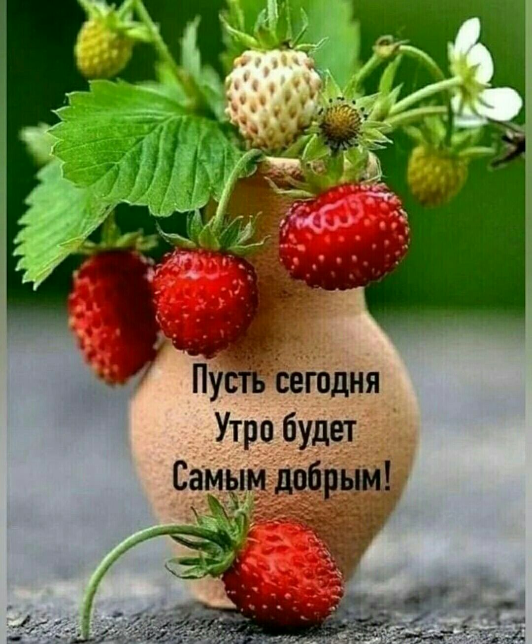 П сегодня Утро будет Самым двбрым