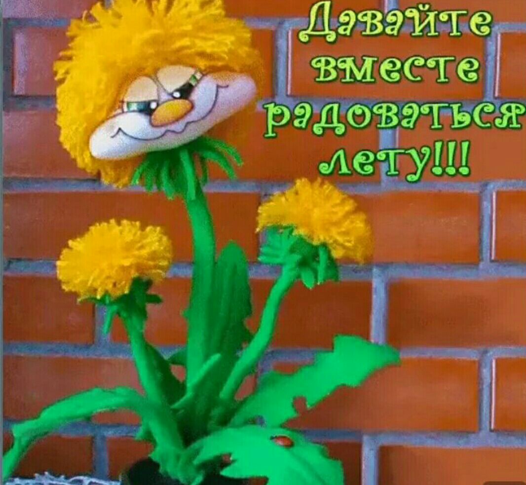 Жтгэ дтн