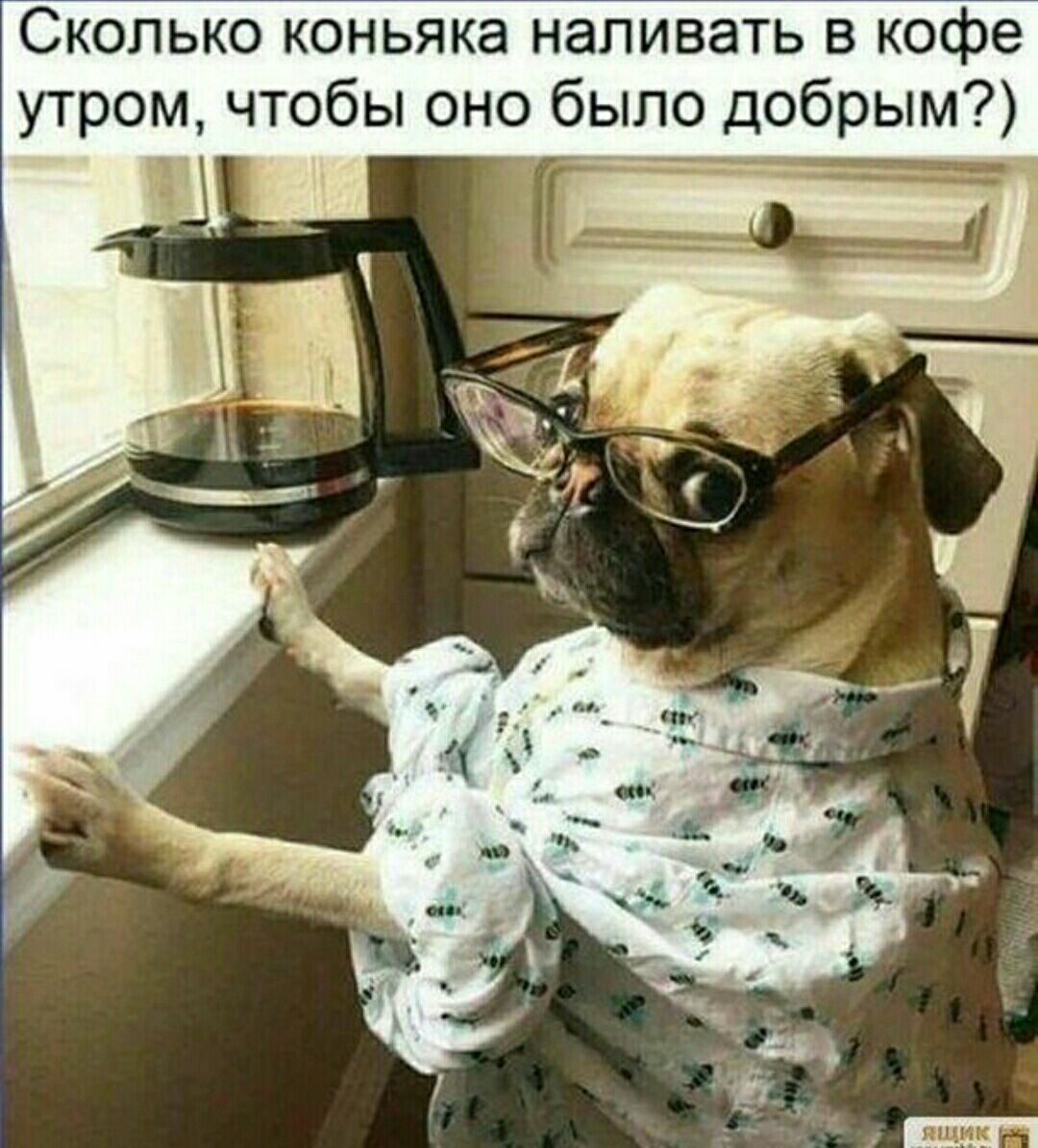Сколько коньяка наливать в кофе утром чтобы оно было добрым _ _
