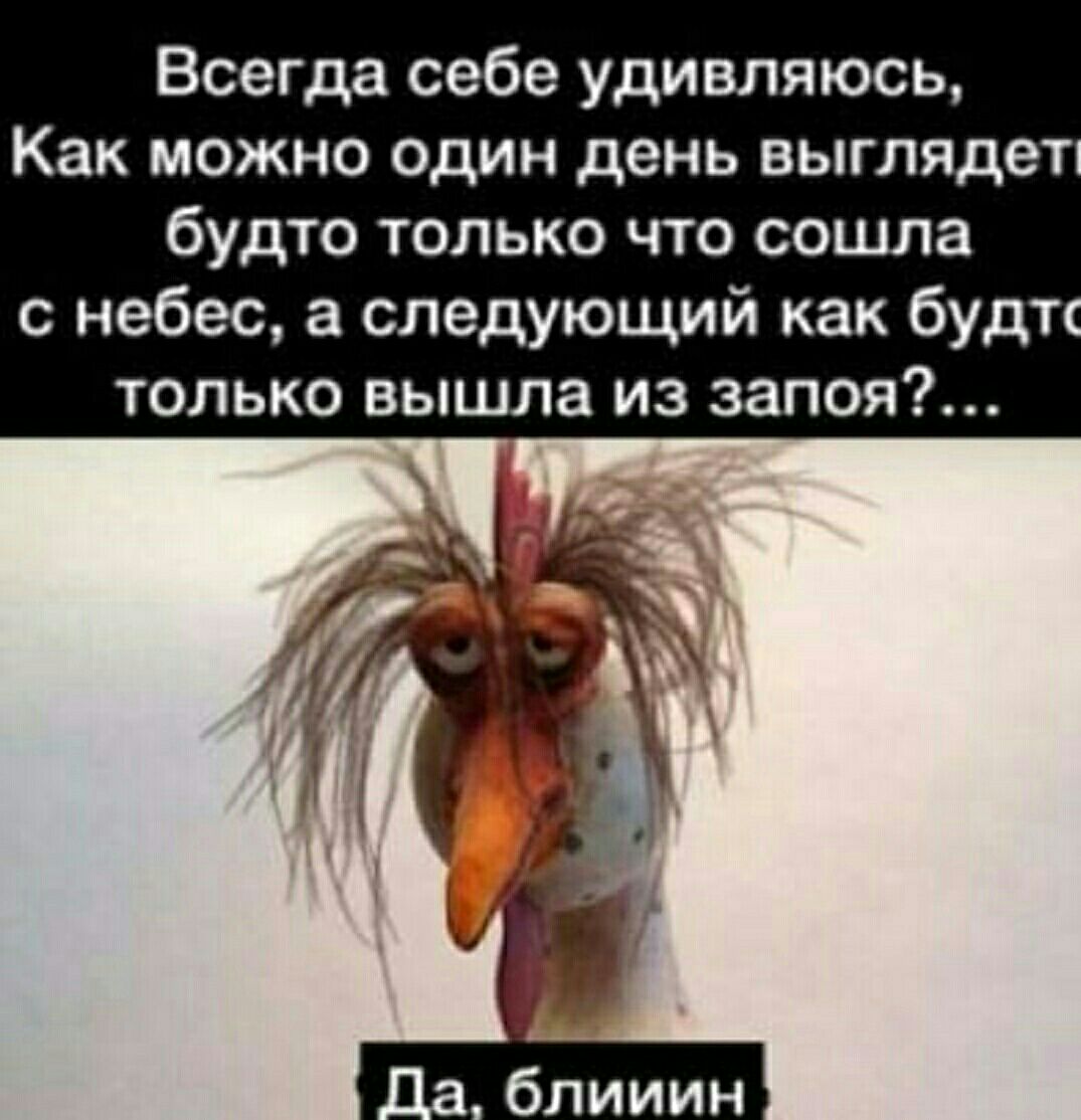Всегда себе удивляюсь Как можно один день выглядет будто только что сошла с небес а следующий как будт только вышла из запоя