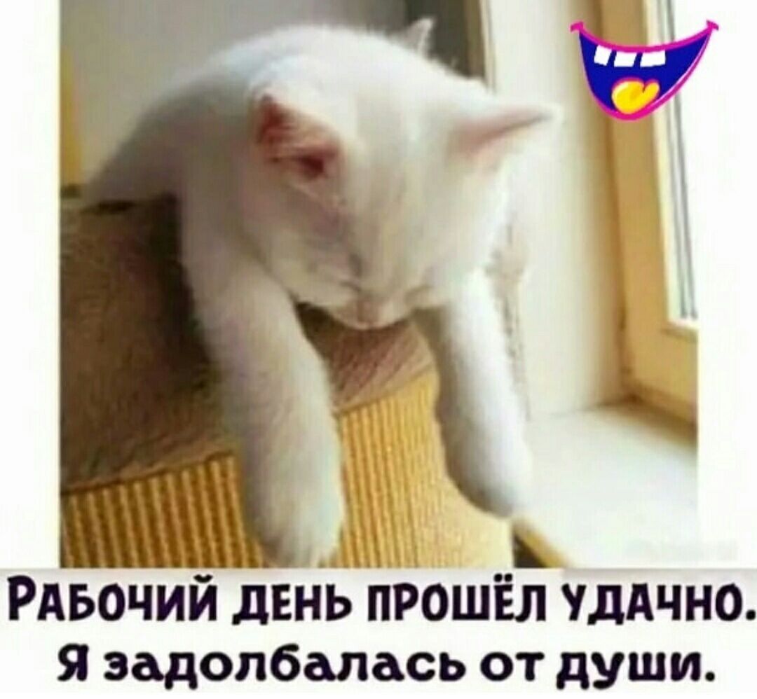 РАБОЧИЙ день прошёл УДАЧНО Я эадопбалась от души