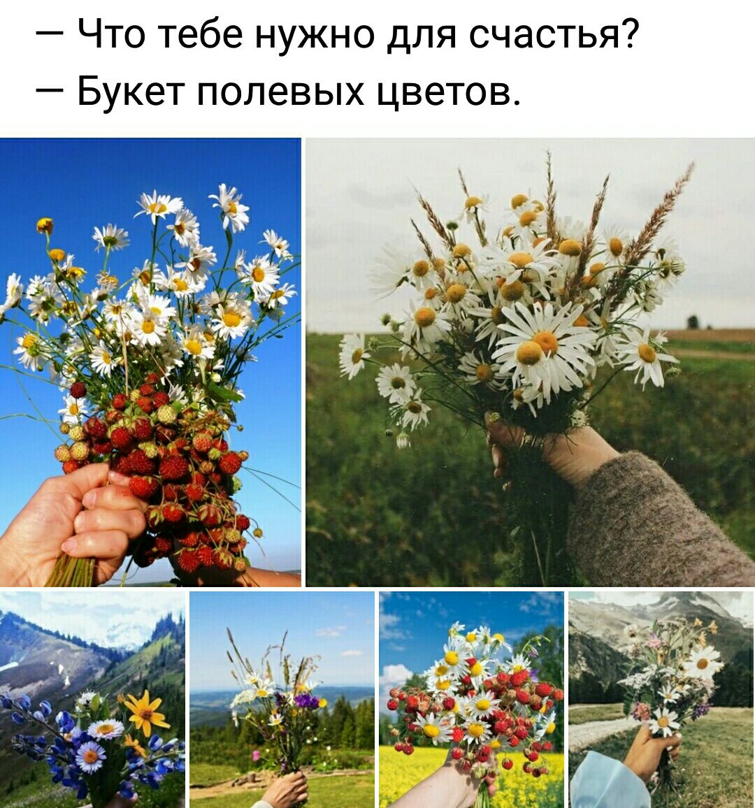 Что тебе нужно для счастья Букет полевых цветов