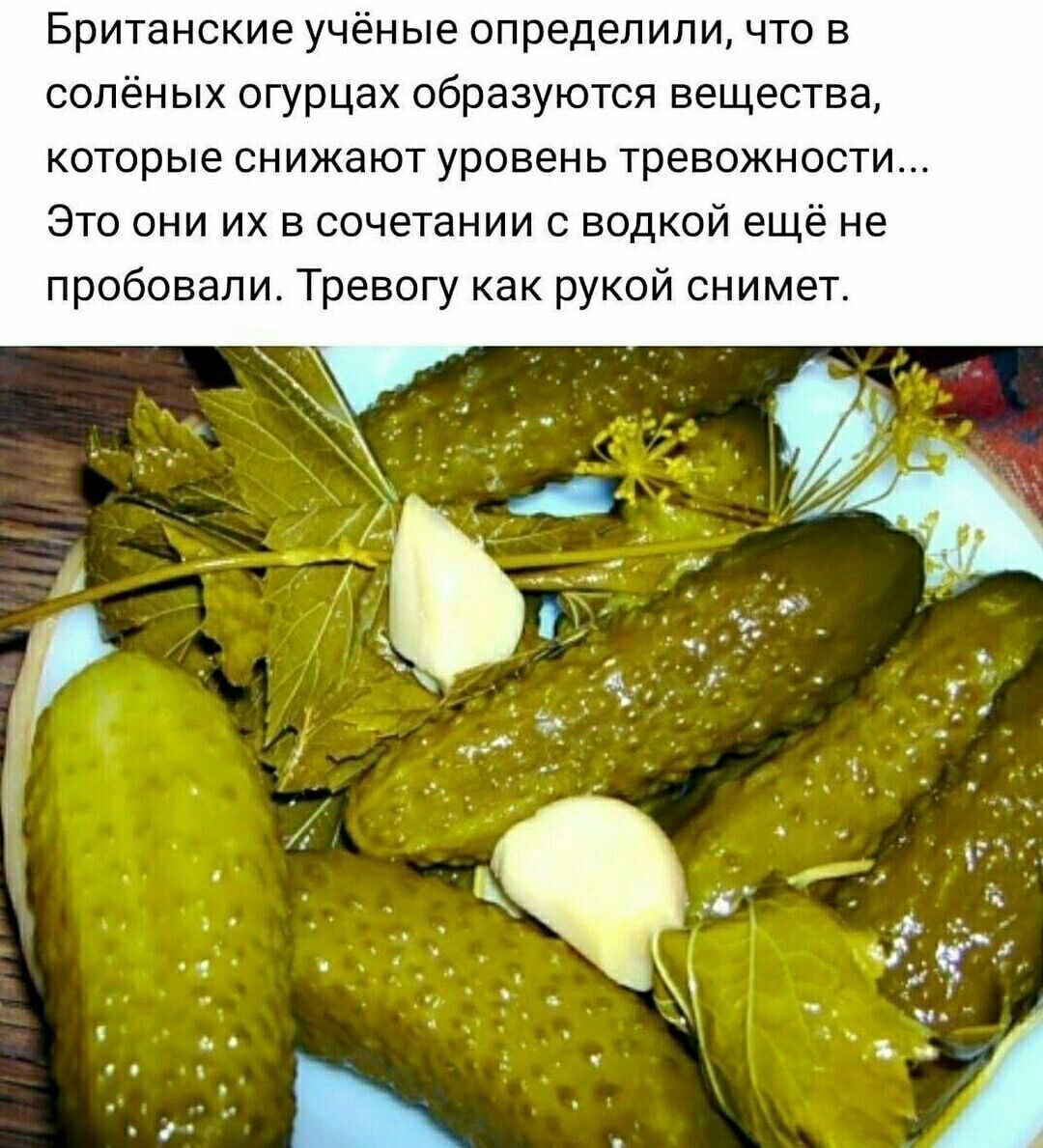 Британские ученые определили что сопен ых огурцах образуются вещества которые снижают уровень тревожности Это они их в сочетании с водкой ещё не пробовали Тревогу как рукой снимет