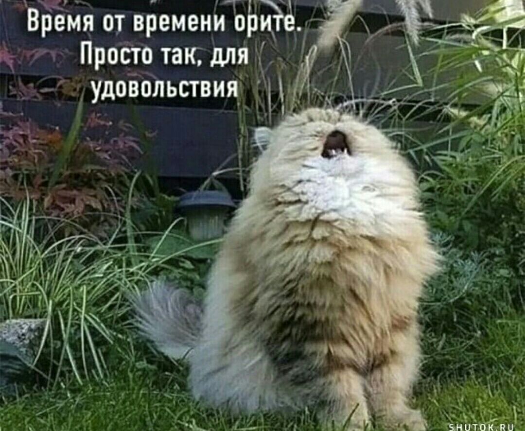 Врёми от ціемени пьаё Просто так Ях удоізопьсгвия
