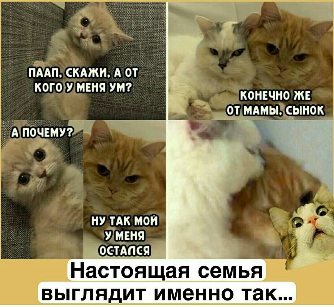 пААп скдми А от КОГОШМЕНИ УМ КОНЕЧИО МЕ мдмыгдінок
