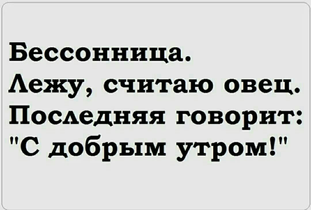 Бессонница Аежу считаю овец Посьедняя говорит С добрым утром