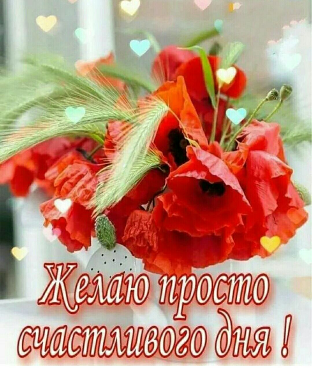 Й й Жшпцосто счябто2о 0р