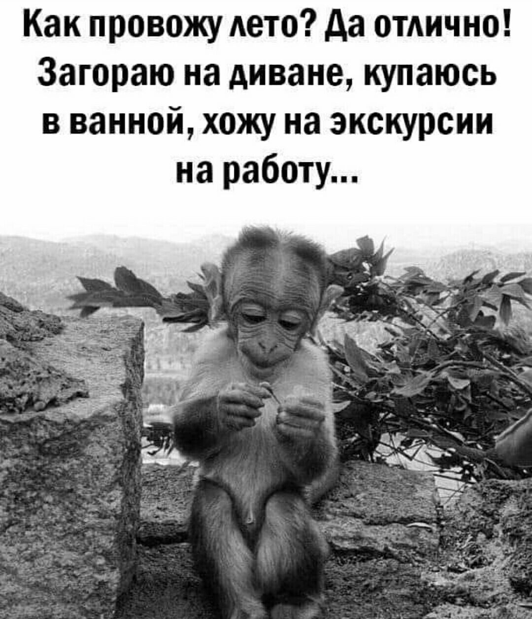 Как провожу лето Да отлично Загораю на диване купаюсь в ванной хожу на экскурсии на работу
