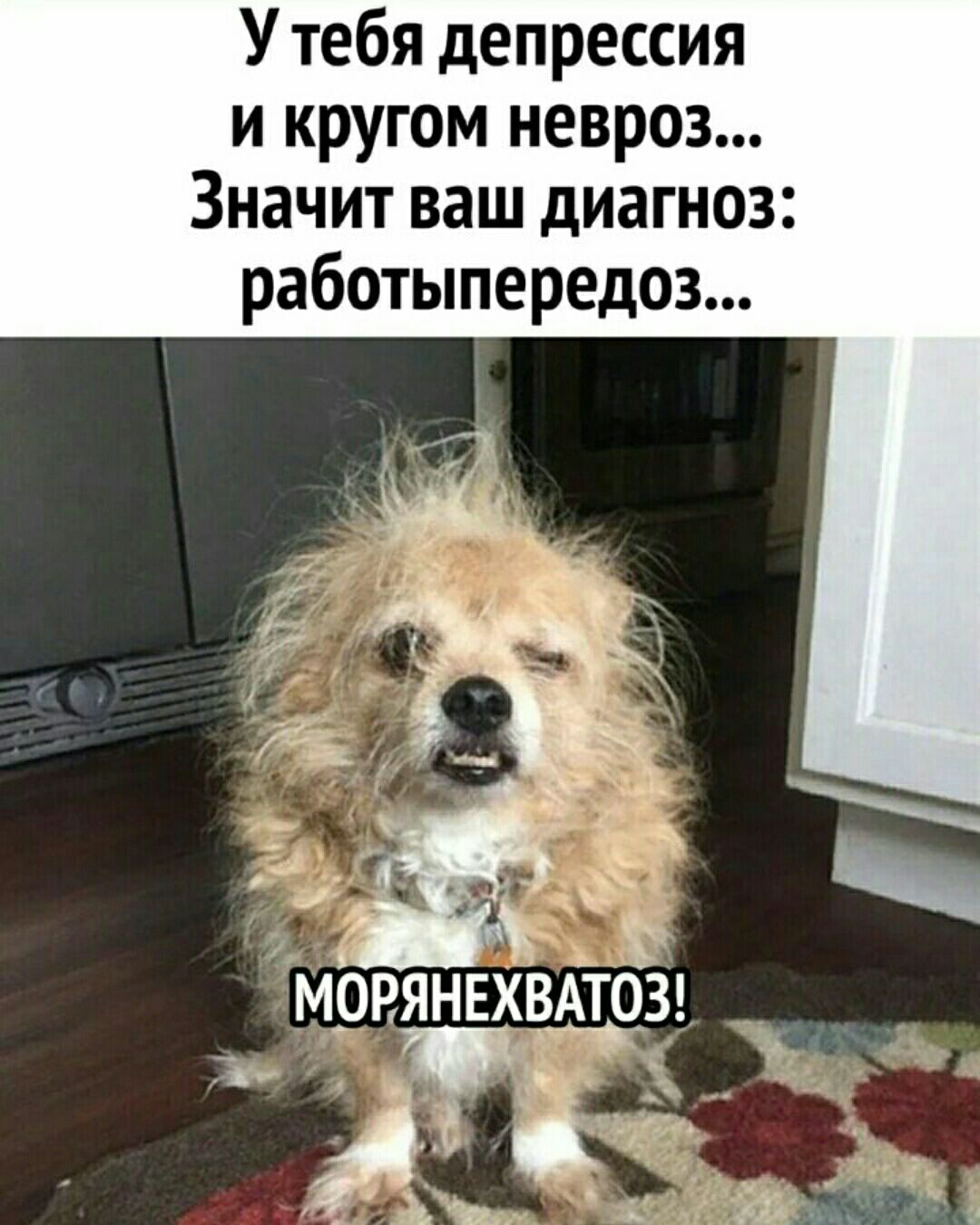 У тебя депрессия и кругом невроз Значит ваш диагноз работыпередоз