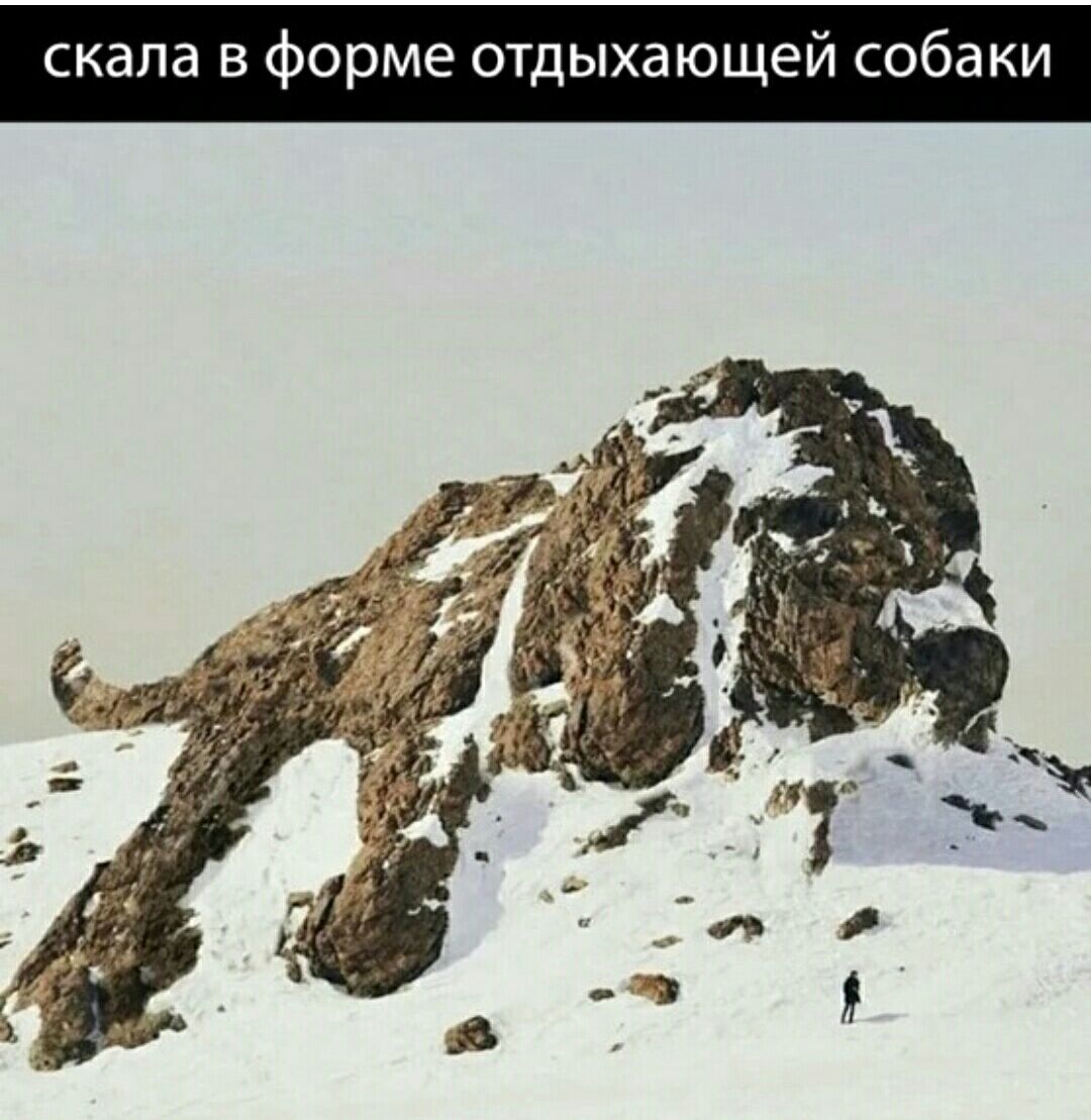 скала в Форме отдыхающей собаки