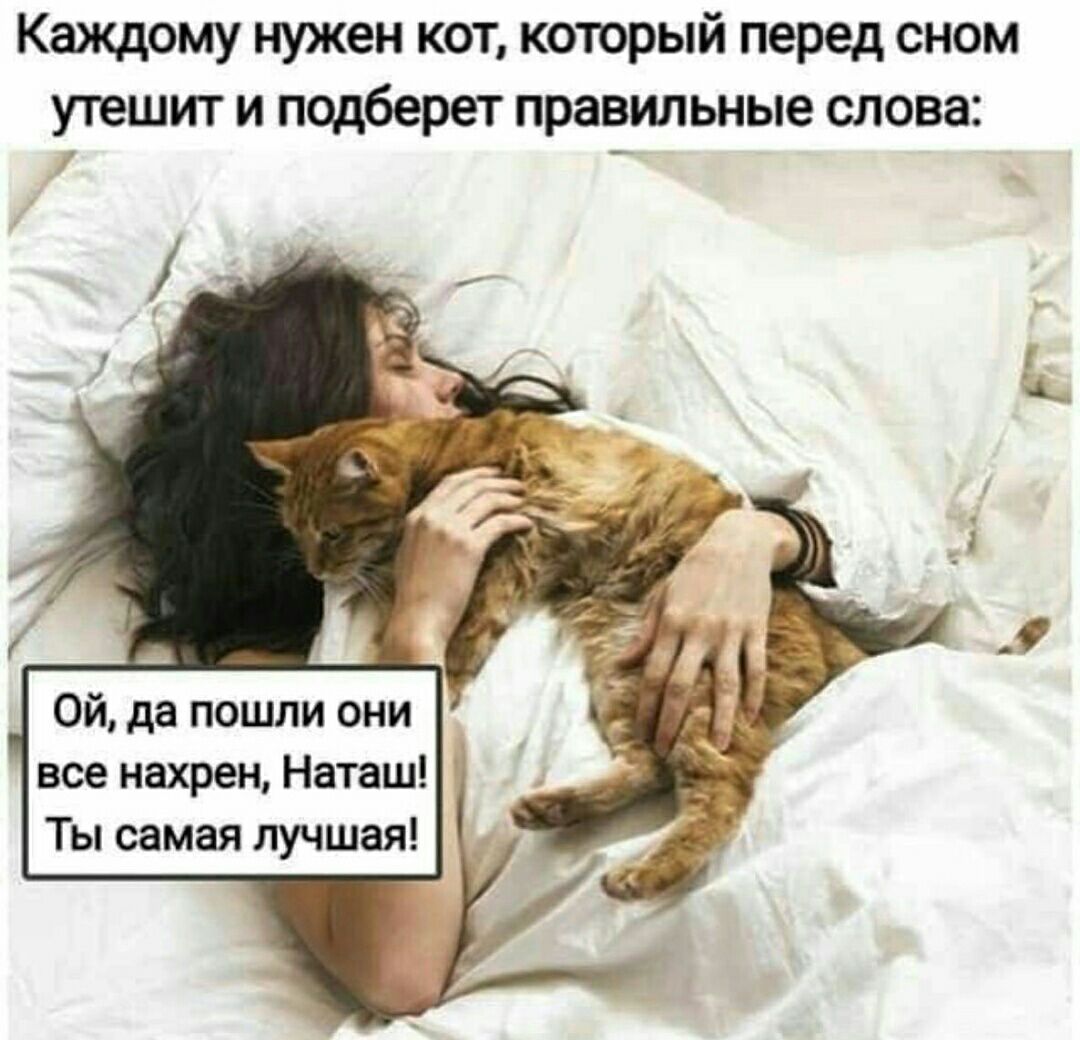 Каждому нужен кот который перед сном утешит и подберет правильные слова Ой дн пошли они все нахрен Наташ Ты самая лучшая