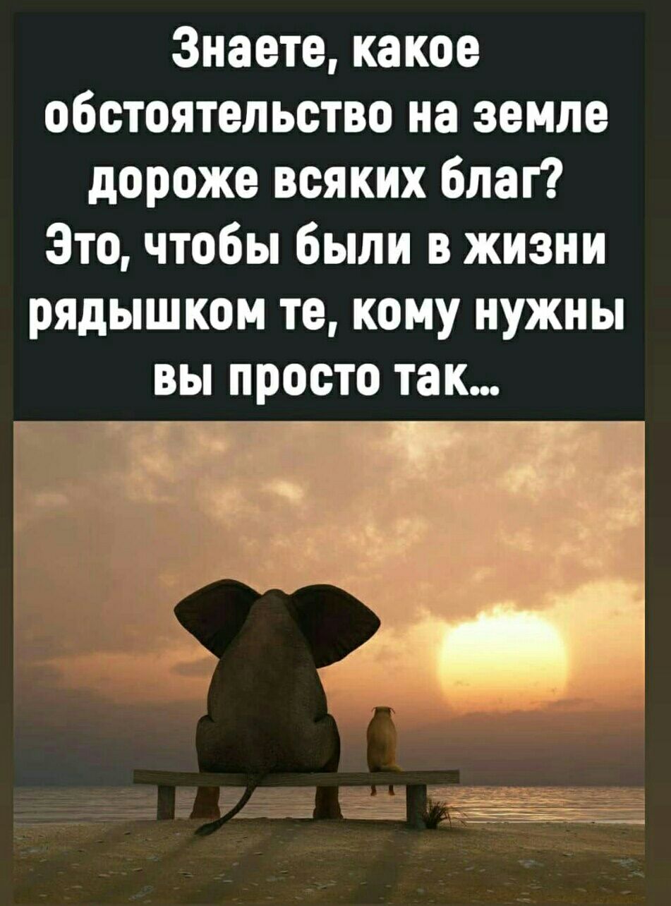 Знаете какое обстоятельство на земле дороже всяких благ Это чтобы были в жизни рядышком те кому нужны вы просто так